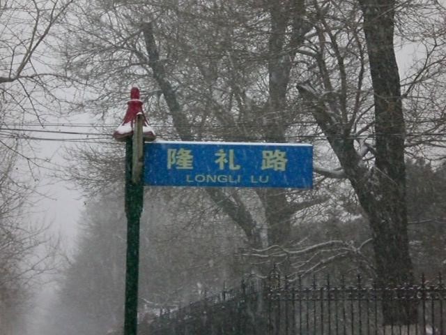 If you had asked me a year ago for a typical street name in China, I might have said LongLi Lu.
