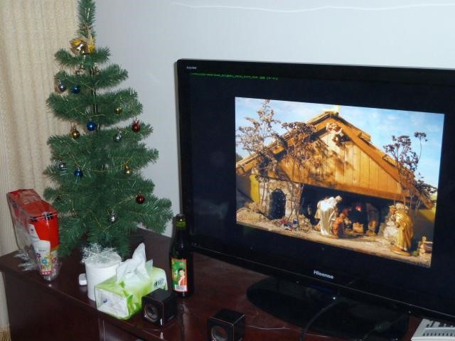 My Christmas tree.